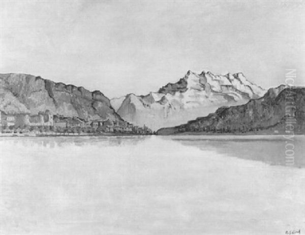 Landschaft Am Genfersee Mit Blick Ins Rhonetal - view 1