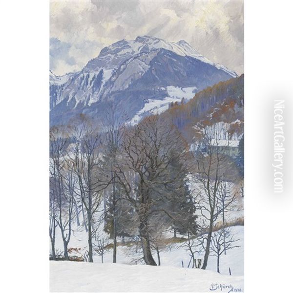 Winterlandschaft Im Gebirge - view 1