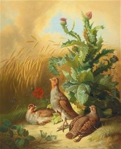 Partridges In A Field
