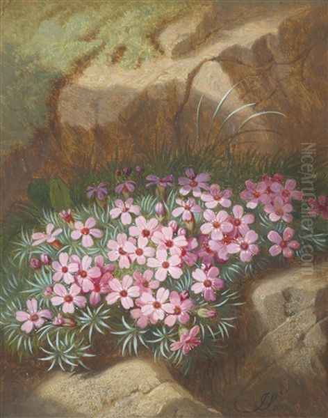 Alpenblumen (2 Works) - view 1