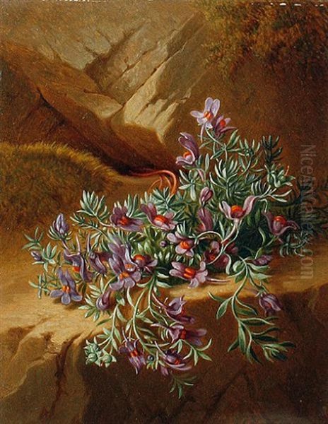 Alpine Flowers (+ Alpine Flowers; Pair) - view 1