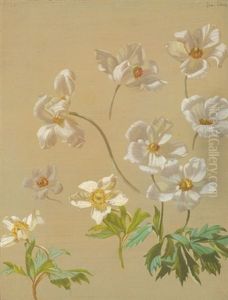 Weise Anemonen by Josef Schuster