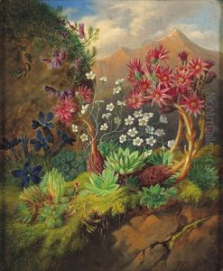 Stilleben Mit Alpenblumen