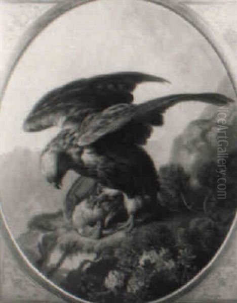 Adler Mit Seiner Beute Im Hochgebirge - view 1