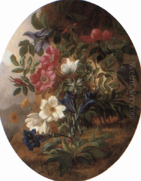 Gentiana, Andrsace And Other Alpine Flowers - view 1