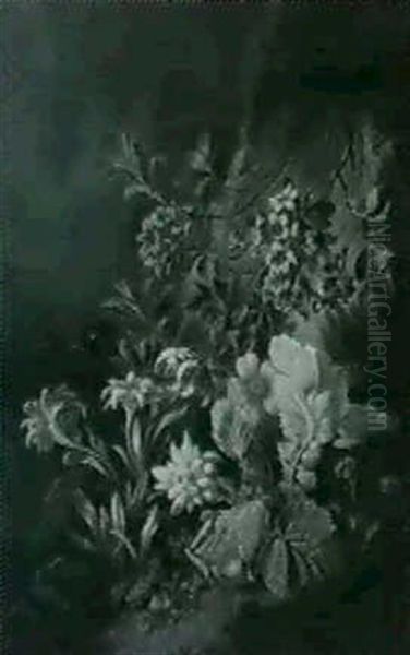 Alpenblumen Am Felshang - view 1