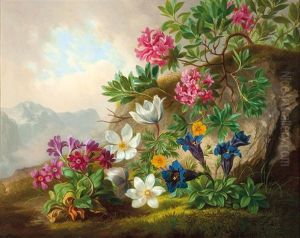 Gebirgsblumen Gebirgsblumen