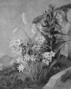 Alpenblumen Alpenblumen