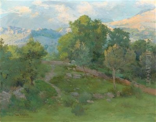 Castelnuovo - view 1