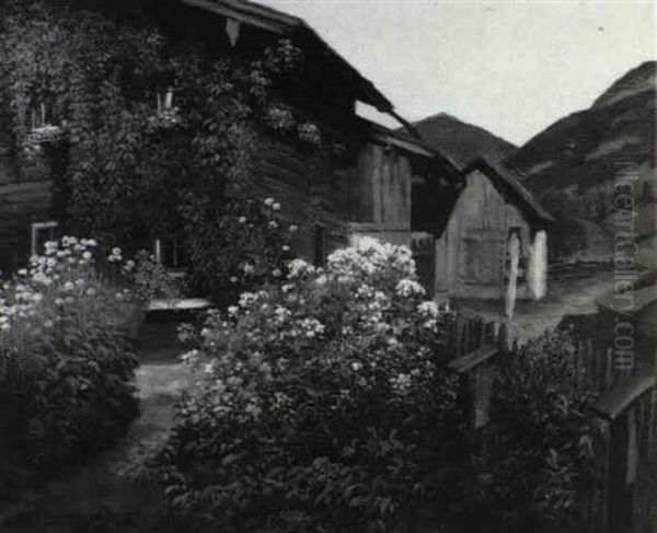 Bauerngarten In Badgastein - view 1