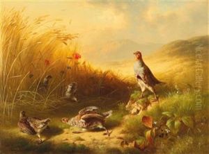 Partridge With Fledglings On The Mountain Pastures