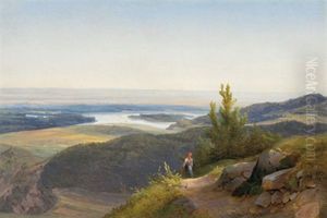 Ein Blick Uber Die Donau by Ludwig Schuster