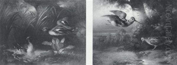 Quails And Ducks: A Pair Of Landscapes With Fowl - view 1