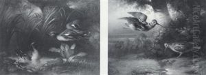 Quails And Ducks: A Pair Of Landscapes With Fowl by Ludwig Schuster