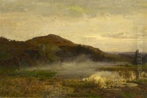 Tallandschaft Im Nebel