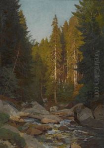 Waldbach by Rudolf Schuster