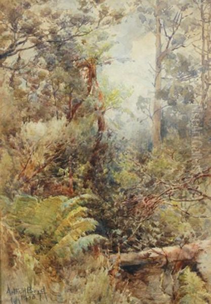 Tasmania - view 1