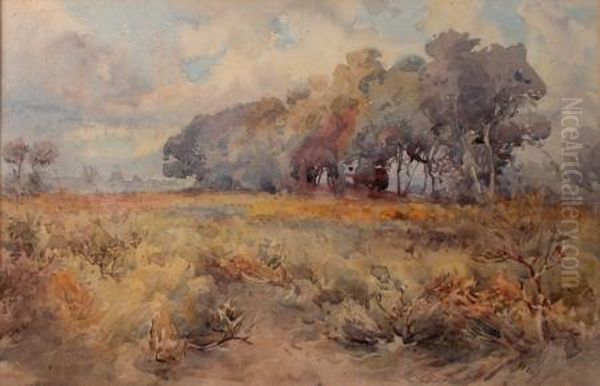 Landscape - view 1