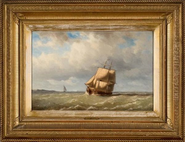 Marine - view 1