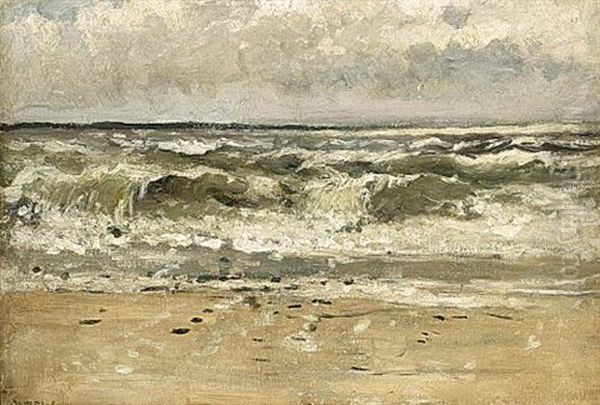 Seascape - view 1