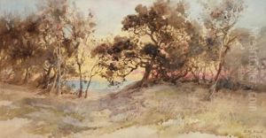 Near Canterbury Jetty, Close Tosorrento