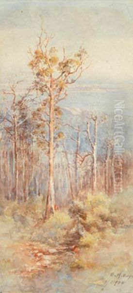 Coastal Landscape - view 1