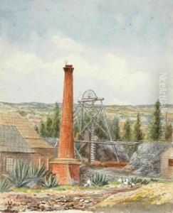 The Mine Shaft, Central Victoria