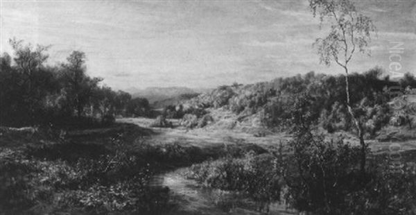 Mittelgebirgslandschaft Mit Einem Flusschen - view 1