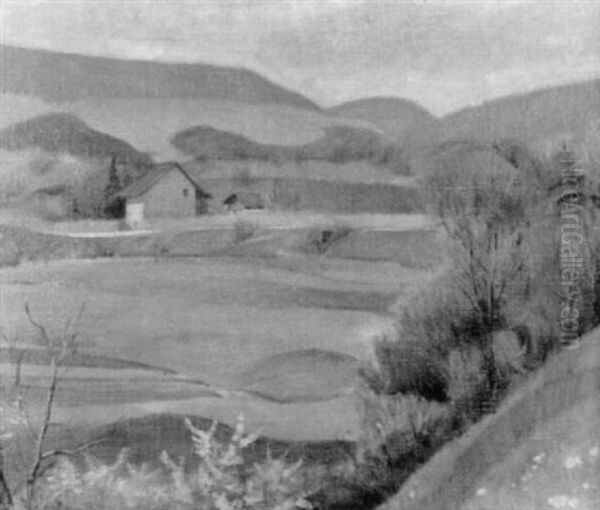Hugellandschaft Mit Feldern Und Bauernhaus - view 1