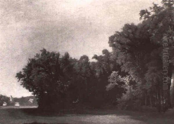 Waldesrand - view 1