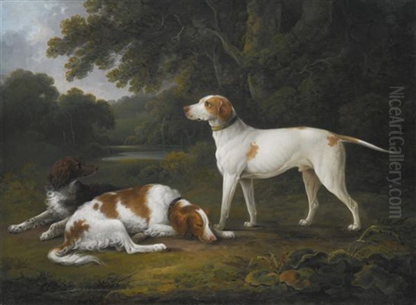 Two Spaniels And A Hound In A Wooded River Landscape - view 1