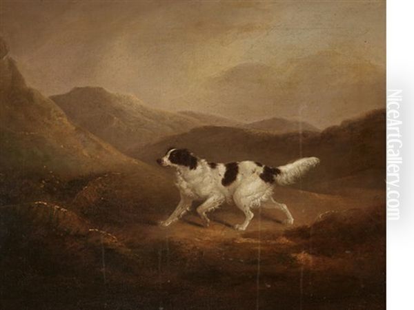 Setter On A Moor - view 1