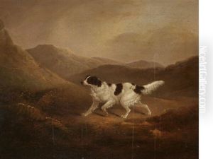 Setter On A Moor