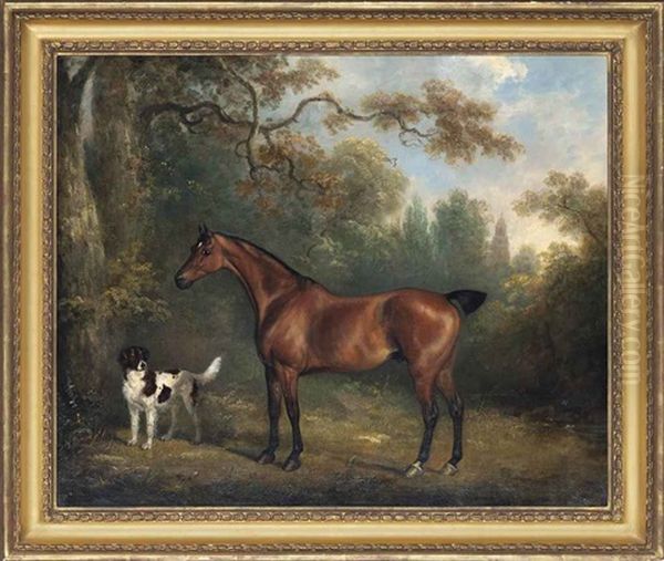 A Bay Horse And A Spaniel In A Wooded Landscape - view 1