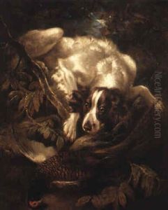 Spaniel Med Fasan Som Byte Spaniel Med Fasan Som Byte