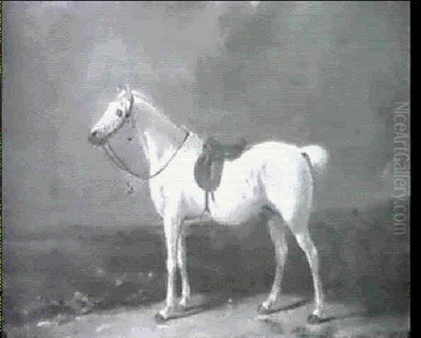 Portrait Of Grey Hunter] - view 1