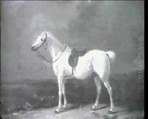 Portrait Of Grey Hunter]