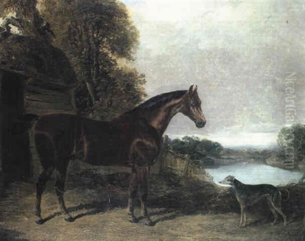 A Dappled Grey Hunter In A Wooded Landscape - view 1