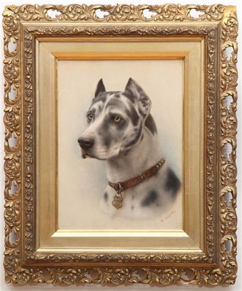 Great Dane - view 1