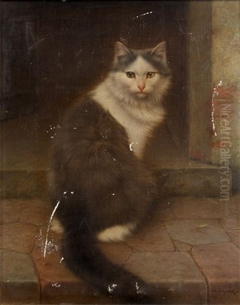 Portrait Of A Cat - view 1