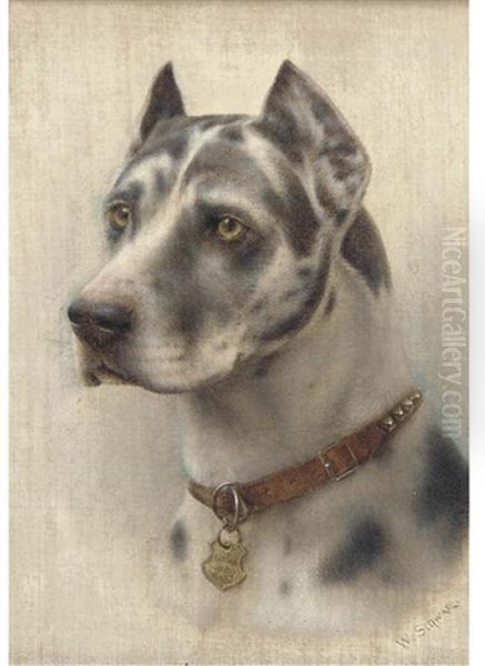 The Head Of A Doberman - view 1