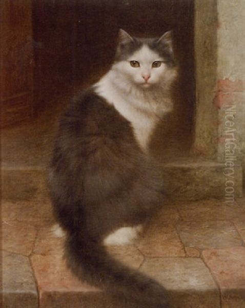 On The Stoop, Gray And White Cat - view 1