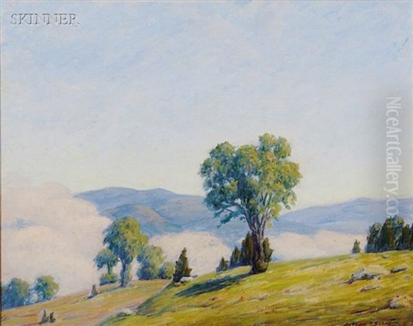 Misty Morning - view 1