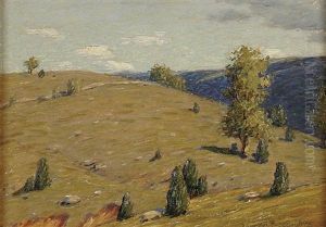 New England Summer Hillside Landscape by Andrew Thomas Schwartz