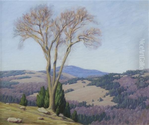 Landscape With Mountains - view 1