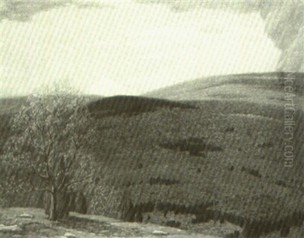 The Adirondacks - view 1