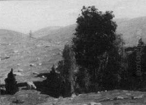 Hilly Landscape by Andrew Thomas Schwartz