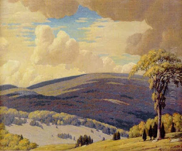 Cloud Shadows - view 1