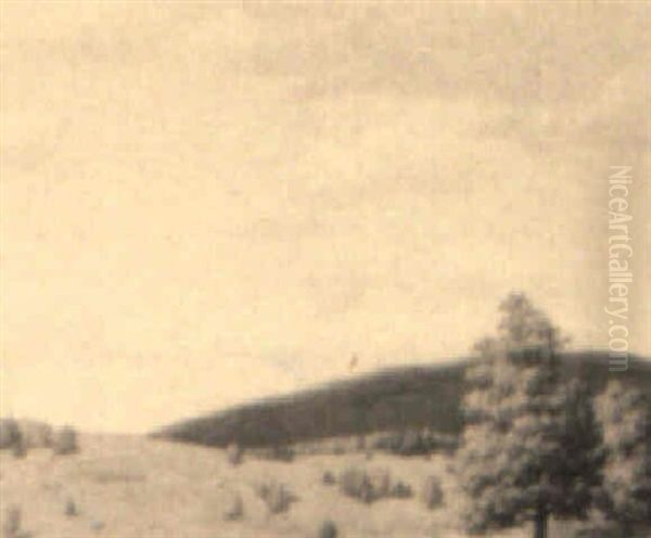 Hillside - view 1