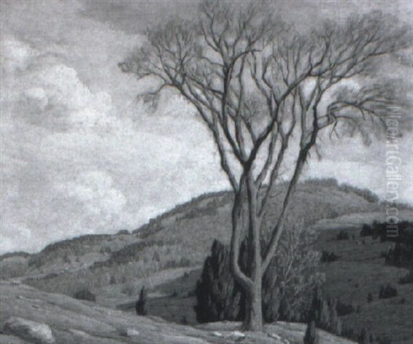 Landscape With Great Tree - view 1